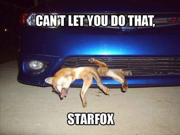 car_dead_fox