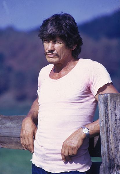 charlesbronson