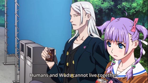 wizard barristers 0301