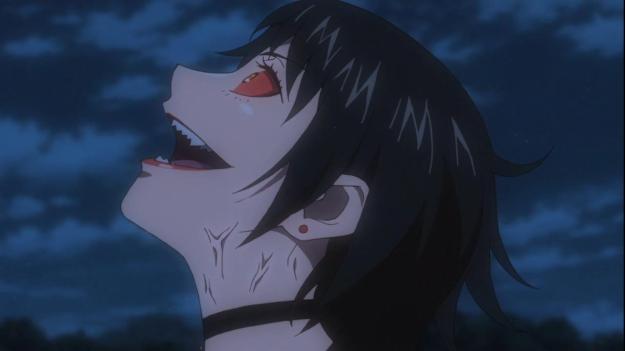 wizard barristers 1106