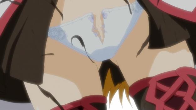 Seikoku no Dragonar - 0605