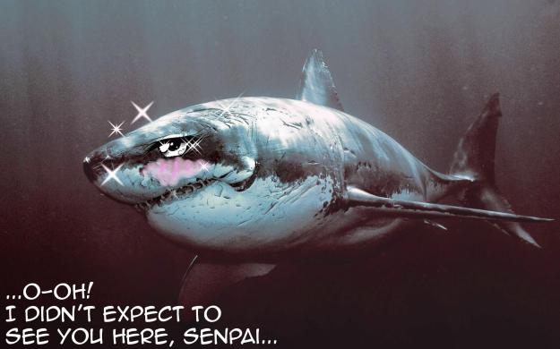 unexpected encounter