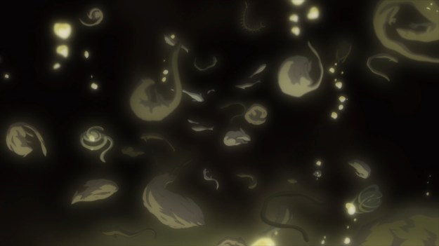 Mushishi Zoku Shou - 1007