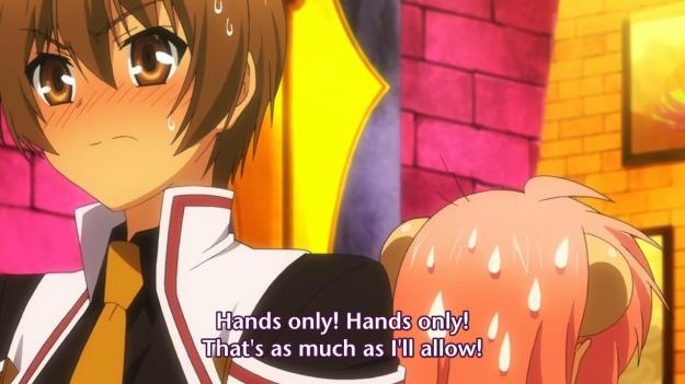 Seikoku no Dragonar - 1011