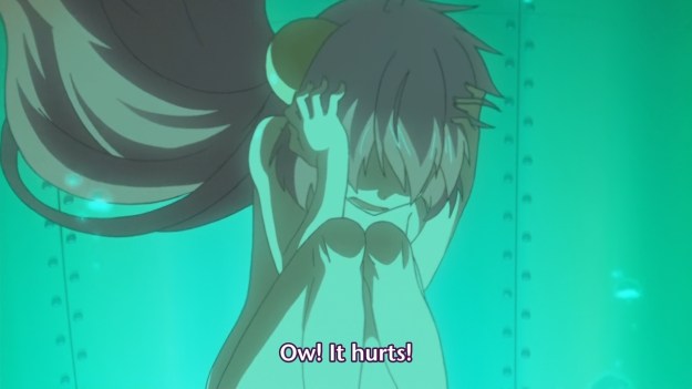 Seikoku no Dragonar - 1108