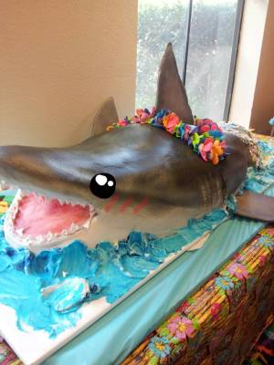 cake shark