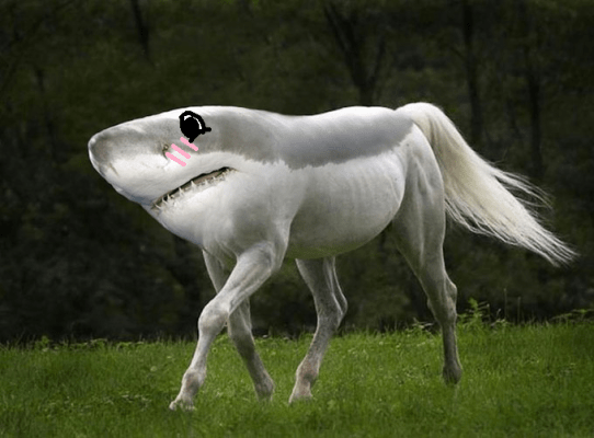 horseshark