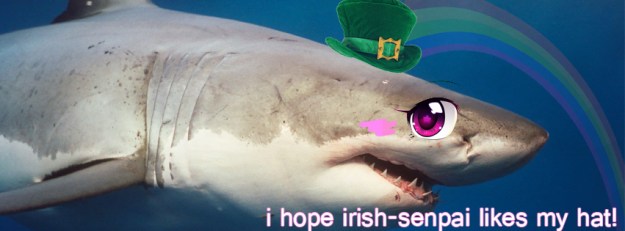 irish shark