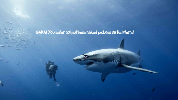 leaked shark pics