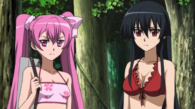 Akame ga Kill! - 1509