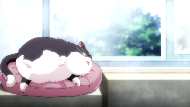 Daitoshokan no Hitsujikai - 1215