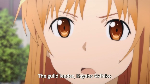 Sword Art Online II - 2430