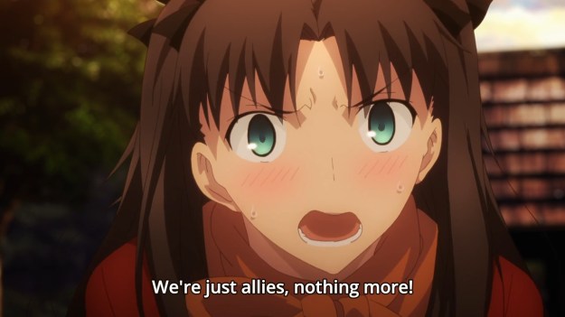 Fate Stay Night - Unlimited Blade Works - 1619